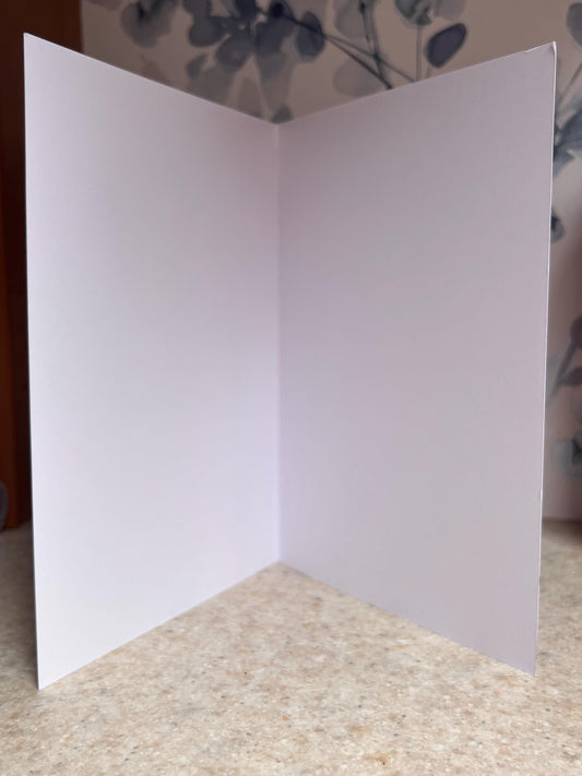 A5 21cm x14.8cm. Personalised  ‘Someone Special’. Cute romantic. Anniversey etc tell a love one you love them.